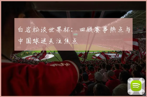 白岩松谈世界杯：回顾赛事热点与中国球迷关注焦点