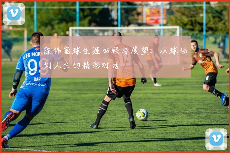 陈伟篮球生涯回顾与展望：从球场到人生的精彩对话