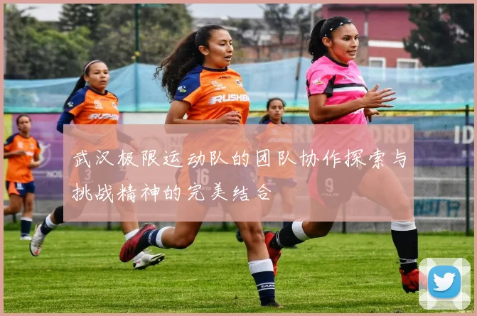 武汉极限运动队的团队协作探索与挑战精神的完美结合