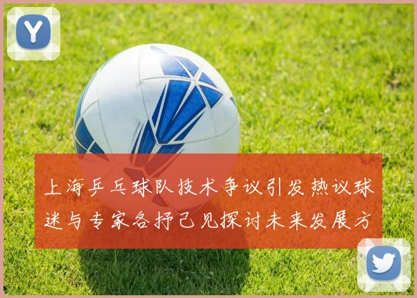 上海乒乓球队技术争议引发热议球迷与专家各抒己见探讨未来发展方向