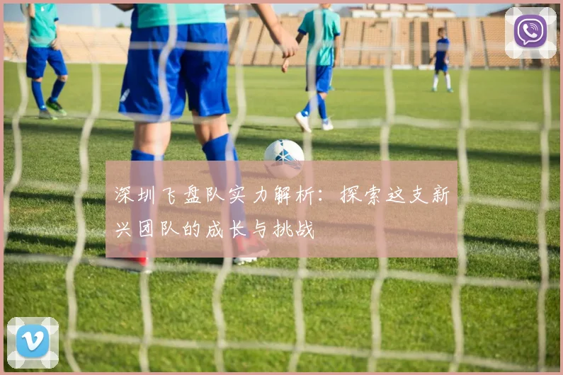 深圳飞盘队实力解析：探索这支新兴团队的成长与挑战